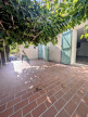 vente Maison et terrain Fabrezan