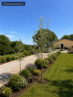 vente Maison Saint-julia