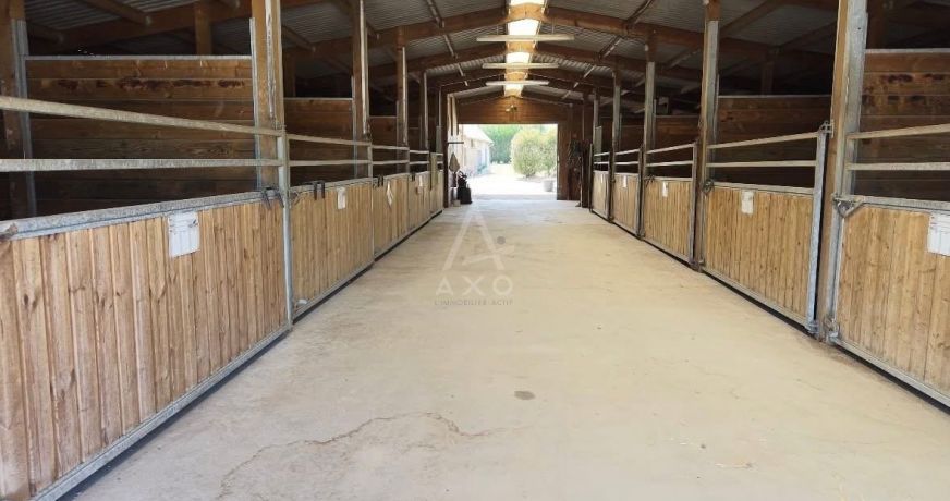 vente Haras / equestre Saint Mars Du Desert