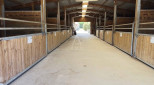 vente Haras / equestre Saint Mars Du Desert