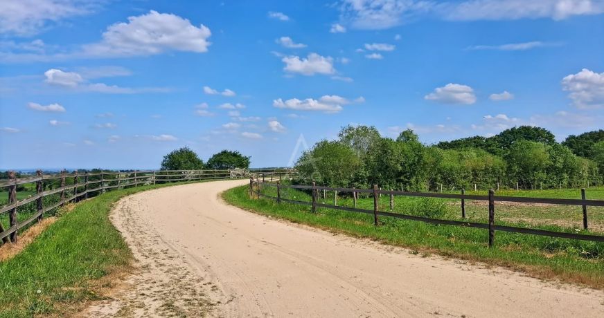 vente Haras / equestre Saint Mars Du Desert