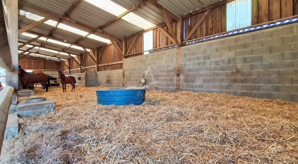 vente Haras / equestre Saint Mars Du Desert - Photo 8