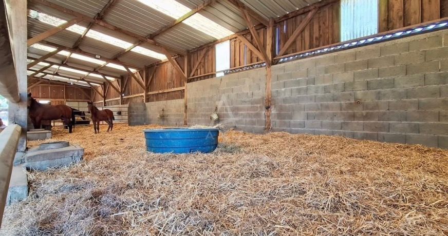 vente Haras / equestre Saint Mars Du Desert