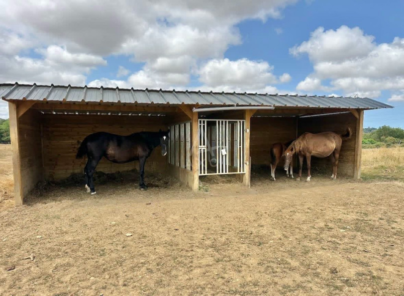 vente Haras / equestre Caen - Photo 9