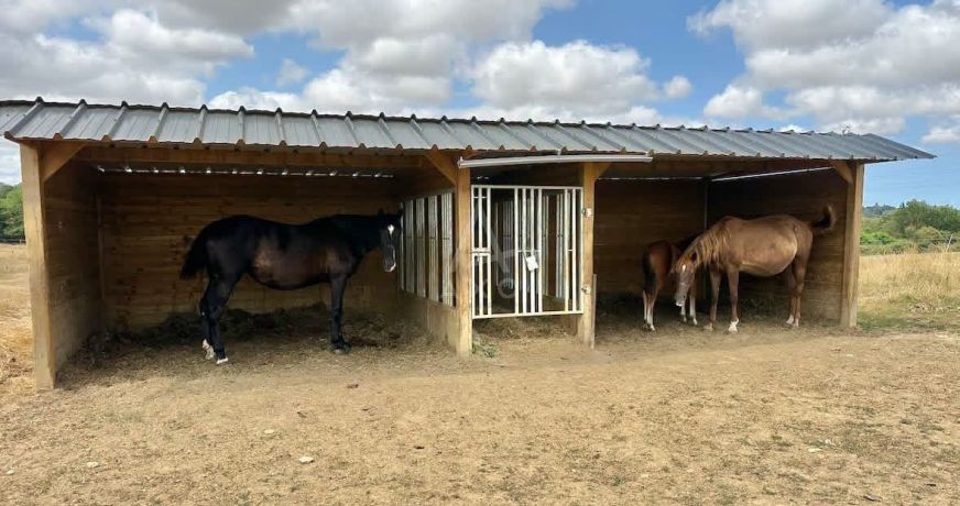 vente Haras / equestre Caen