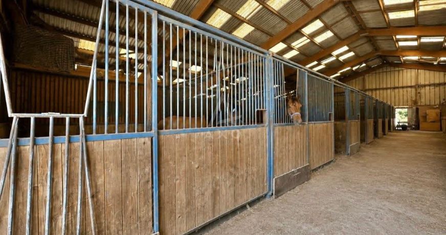 vente Haras / equestre Caen