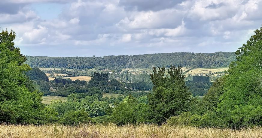 vente Maison et dépendances Rocques