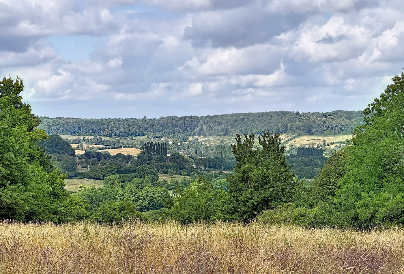 vente Maison et dépendances Rocques - Photo 2