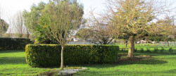vente Maison Saint Vincent Sur Jard