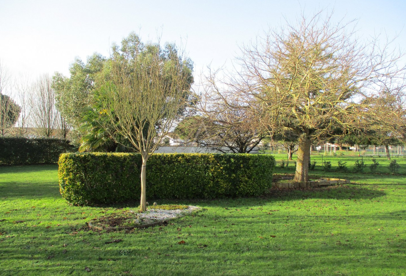 vente Maison Saint Vincent Sur Jard - Photo 2