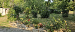 vente Maison individuelle Castelnau D'auzan
