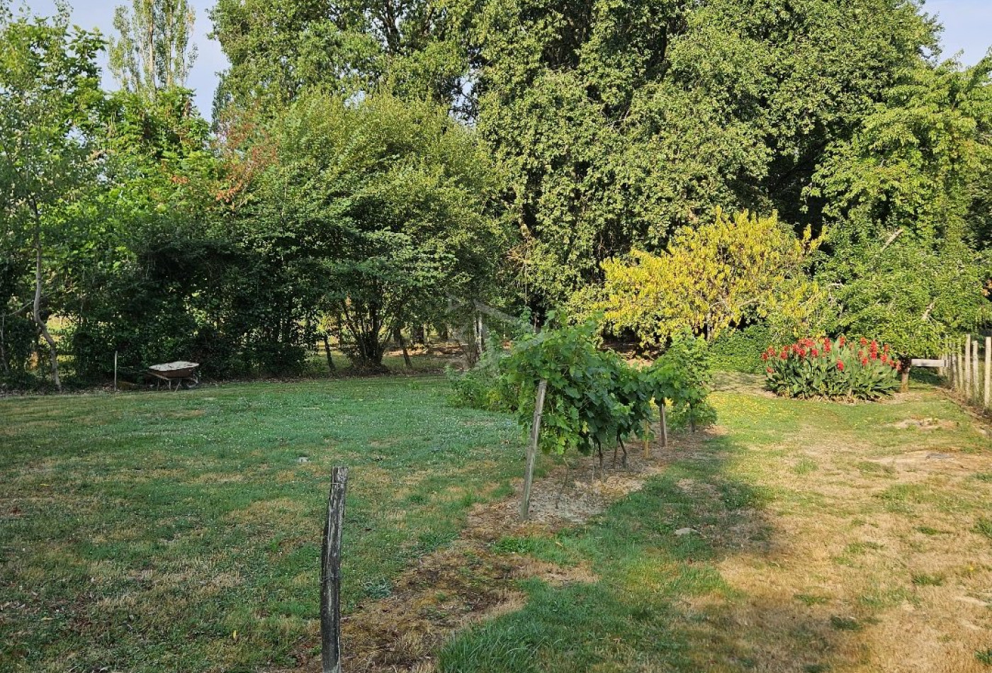 vente Maison individuelle Castelnau D'auzan - Photo 5