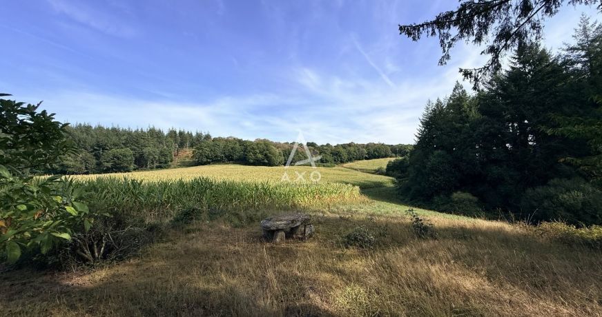 vente Maison Lanvenegen