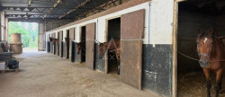 vente Haras / equestre Caen