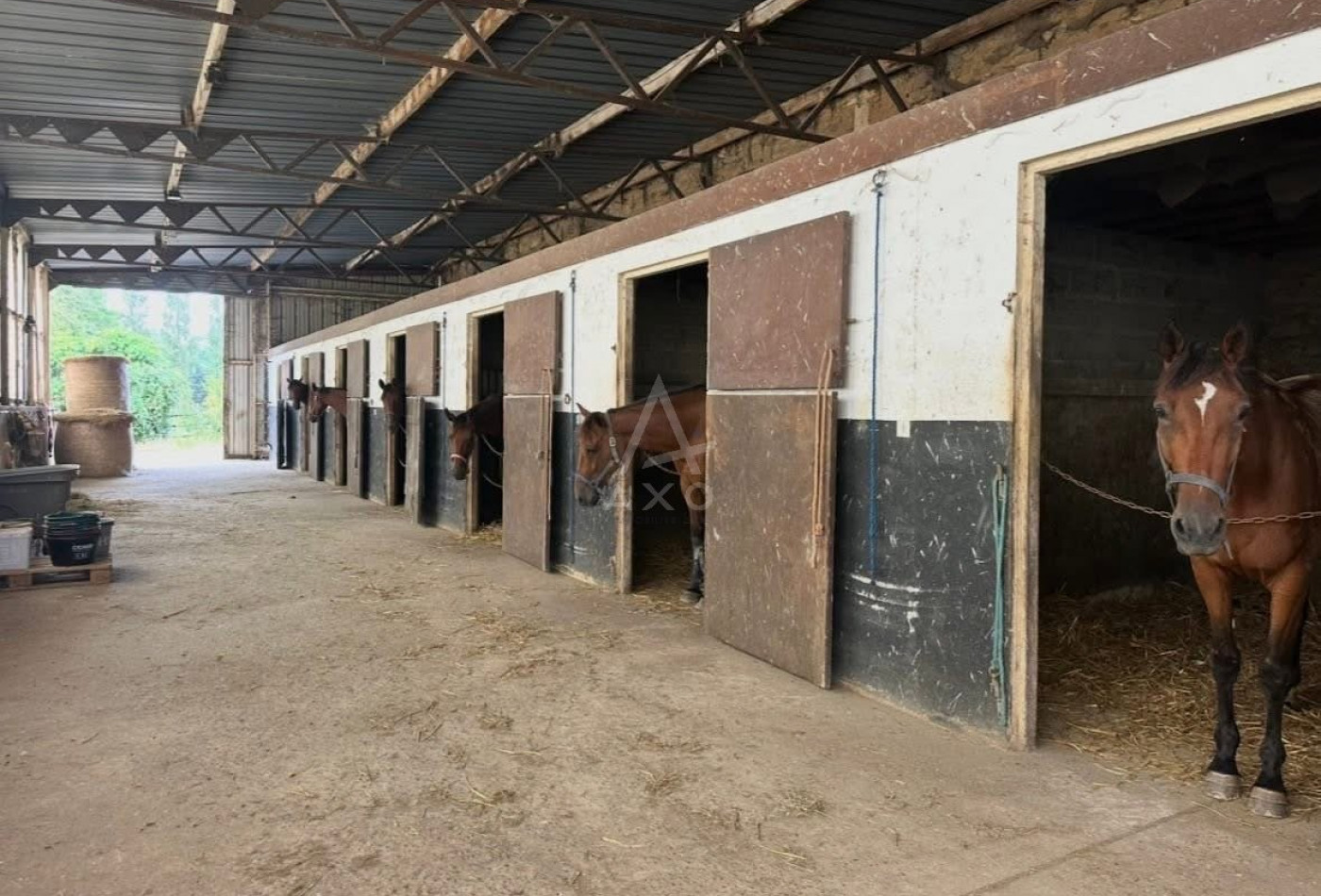 vente Haras / equestre Caen - Photo 3