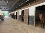vente Haras / equestre Caen