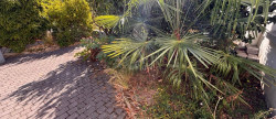 vente Maison Reze