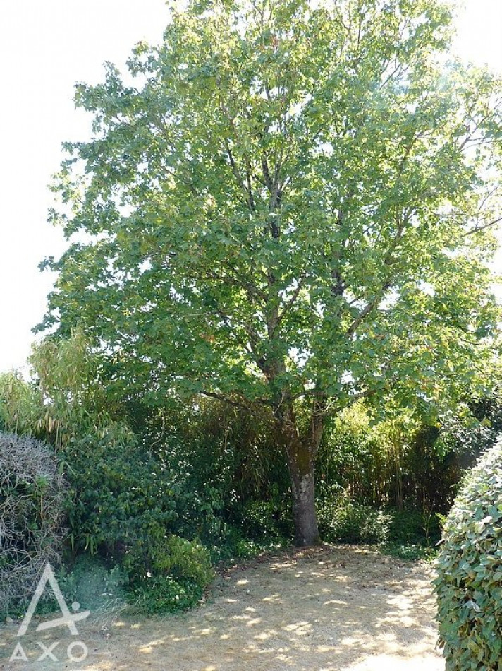 vente Maison bourgeoise Mayet - Photo 12