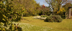 vente Maison de caractère Champniers