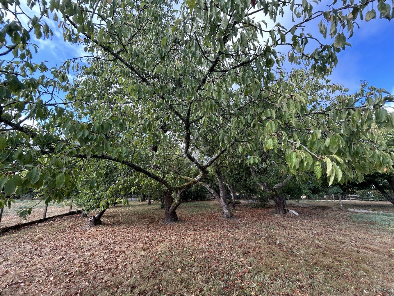 vente Pavillon Remalard En Perche - Photo 20