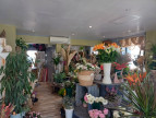 vente Fleuriste Les Grandes Ventes