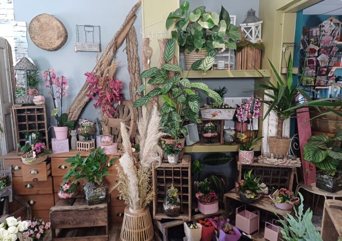 vente Fleuriste Les Grandes Ventes
