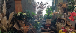 vente Fleuriste Les Grandes Ventes