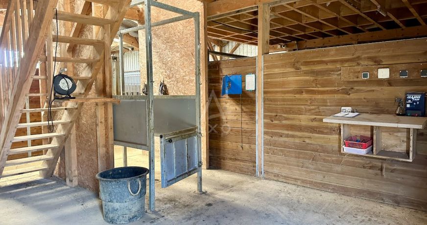 vente Haras / equestre Saint Aignan