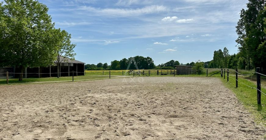 vente Haras / equestre Saint Aignan