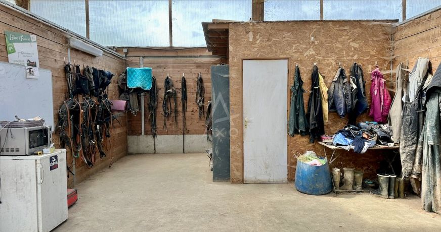 vente Haras / equestre Saint Aignan