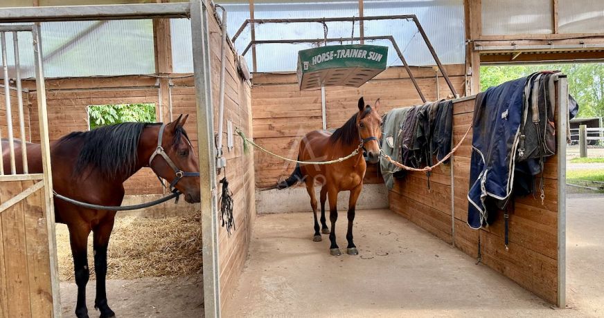 vente Haras / equestre Saint Aignan