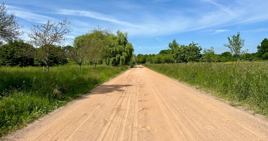 vente Haras / equestre Saint Aignan