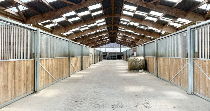 vente Haras / equestre Saint Aignan