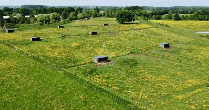 vente Haras / equestre Saint Aignan