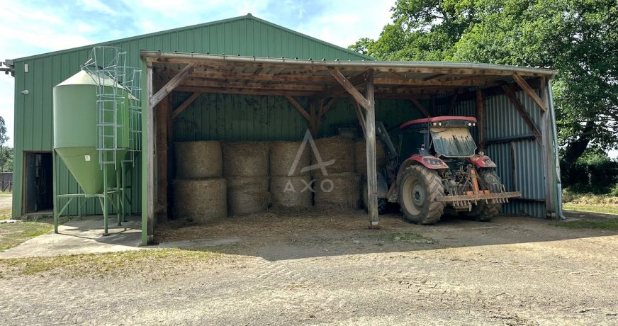 vente Haras / equestre Saint Aignan