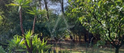vente Maison contemporaine Gastes