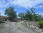 vente Maison Corneillan