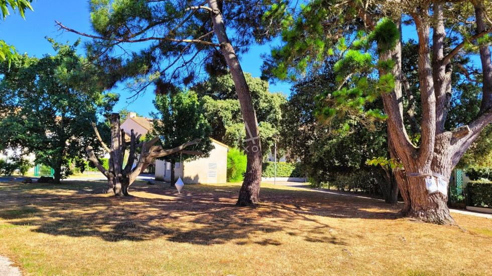 vente Appartement en résidence Dolus D'oleron - Photo 2