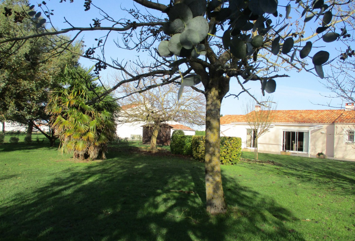 vente Maison Saint Vincent Sur Jard - Photo 1