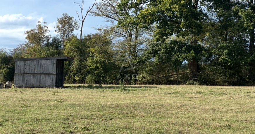 vente Haras / equestre Livarot