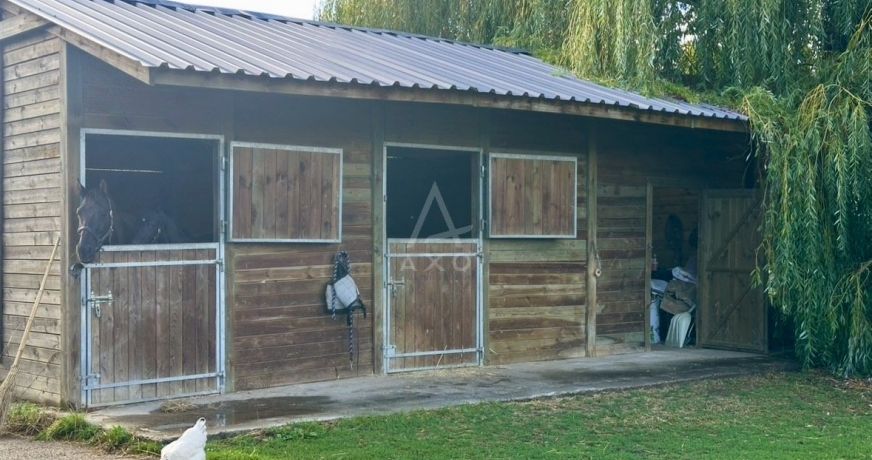 vente Haras / equestre Livarot