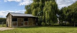 vente Haras / equestre Livarot