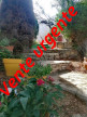 vente Maison de village Bages