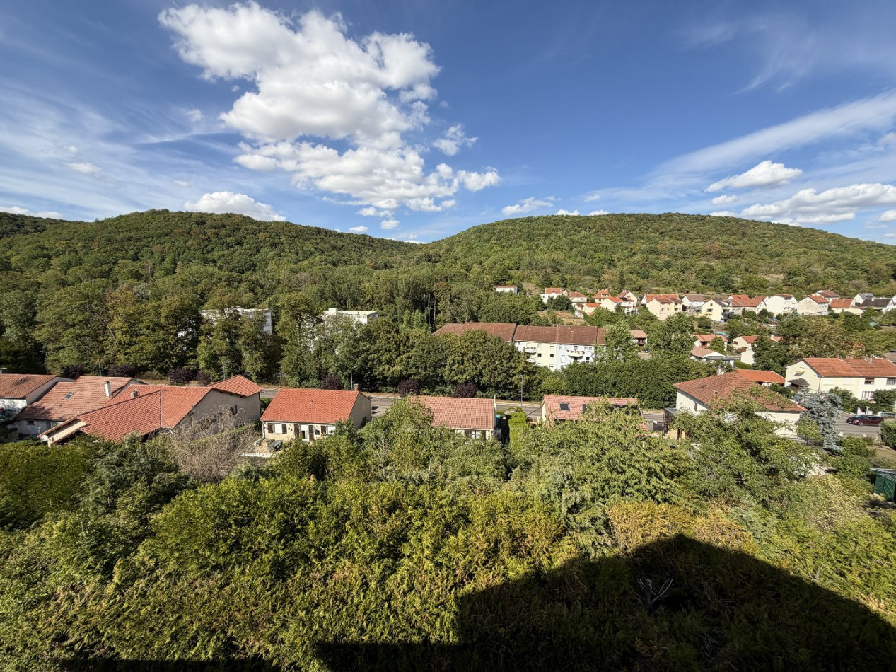 vente Appartement Ars Sur Moselle - Photo 15