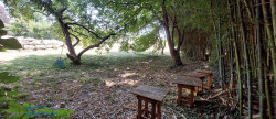 vente Maison Chenac Saint Seurin D'uzet