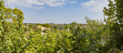 vente Maison Valensole