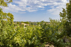 vente Maison Valensole