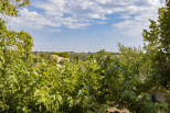 vente Maison Valensole