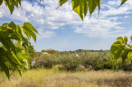 vente Maison Valensole