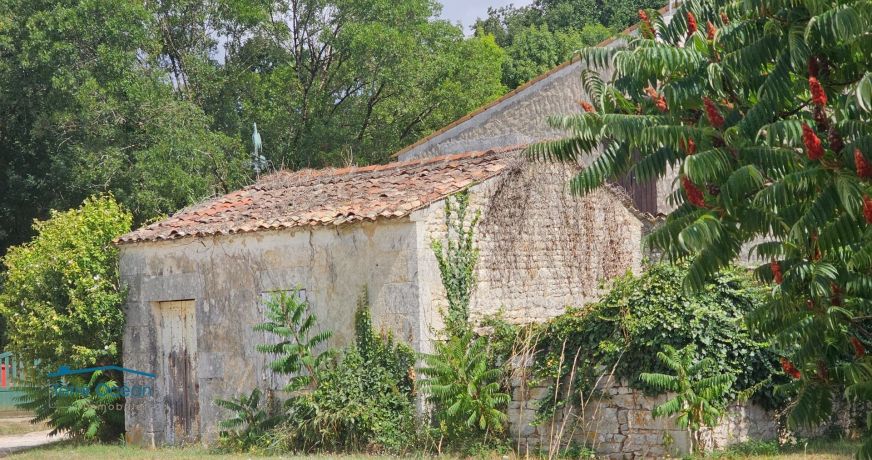 vente Maison Saint Romain De Benet
